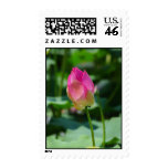 Spring Stamps