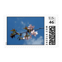 Spring stamps