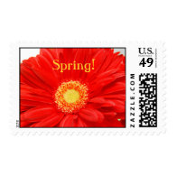 Spring! Postage Stamp