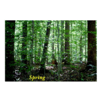 Spring posters by nwillens Spring posters