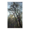 Spring posters by DigitalLight Spring posters