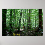 Spring Print