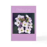 Spring  Posy Card
