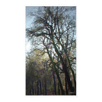 Spring posters