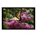 Spring posters by Eurythmy Spring posters
