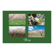 Spring posters