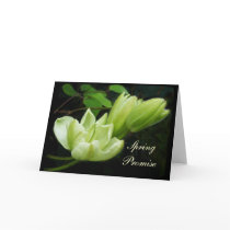 Spring Promise Greeting Card by luminouslife Spring Promise Greeting Card