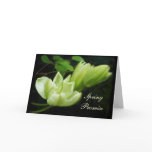 Spring Promise Greeting Card