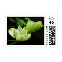 Spring Promise postage by luminouslife Spring Promise postage