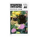 Spring Pugs Postage Stamps by designsbydandy Spring Pugs Postage Stamps