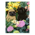 Spring Pugs Postcards