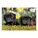 Spring Pugs posters by cammieowen Spring Pugs posters