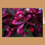 Spring Purple Card