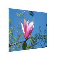 spring purple magnolia flower in blue sky. gallery wrap canvas