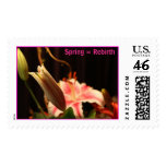 Spring = Rebirth postage