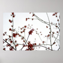 Spring Red Poster posters