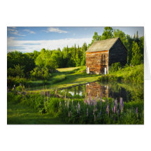 Spring Reflections in the Adirondacks, N.Y. Card