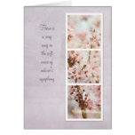 Spring Romance Cherry Blossoms Greeting Card