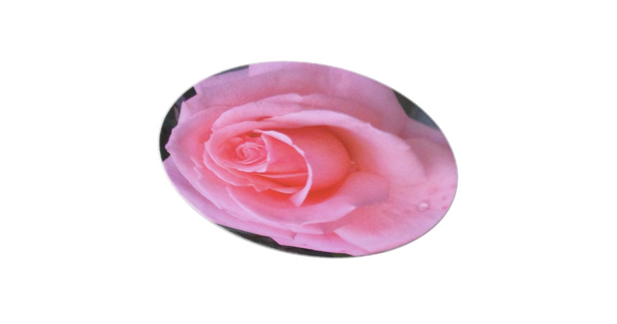 Spring Rose Pink Flower Plate | Zazzle