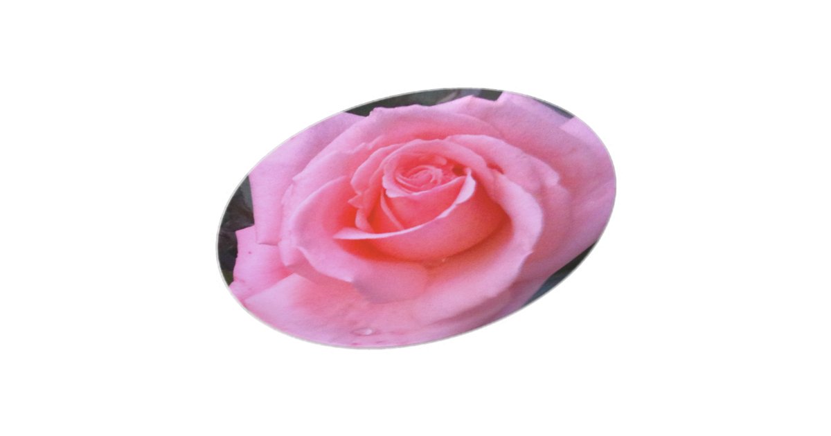 Spring Rose Pink Flower Plate | Zazzle