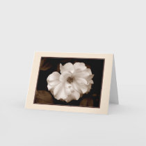 'Spring Rose (Sepia)' Greeting Card cards