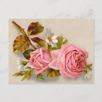 Spring Roses Vintage Postcard