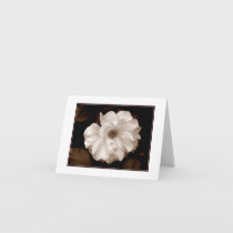 'Spring Sepia Rose' Blank Note Card
