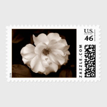'Spring Sepia Rose' Postage stamps