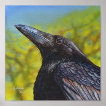Spring Sky Crow Raven Poster