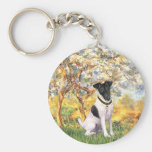 Spring - Smooth Fox Terrier Key Chains