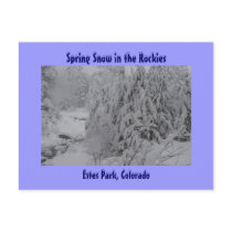 Spring Snow in the Rockies Postcard
