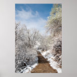 Spring Snow Nature Poster posters