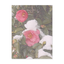 SPRING SNOWS by SHARON SHARPE postcards