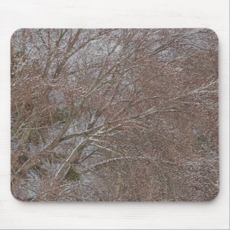 Spring Snowstorm