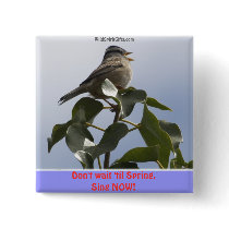 SPRING SONG BIRD Collection buttons