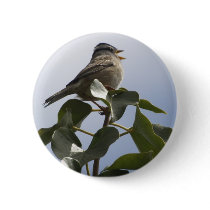 SPRING SONG BIRD Collection buttons