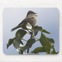 SPRING SONG BIRD Collection mousepads