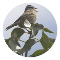 SPRING SONG BIRD Collection stickers