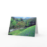 Spring Splendor Cards
