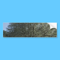 Spring sprung gift items bumper stickers