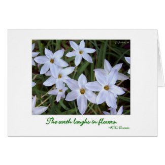 Spring Starflowers Earth Day Card zazzle_card