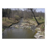 Spring Stream in PA