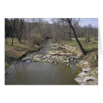 Spring Stream in PA cards by Alasika Spring Stream in PA cards