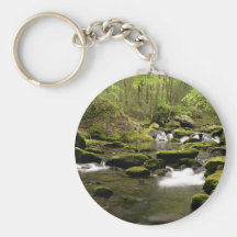 Spring Stream Keychain