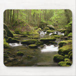 Spring Stream Mouse Mats