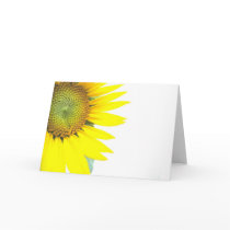Spring sunflowers cards