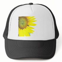 Spring sunflowers hats