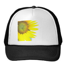 Spring sunflowers mesh hats