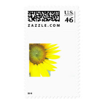 Spring sunflowers postage stamps