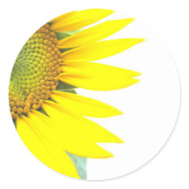 Spring sunflowers stickers by lollypopgirrrl Spring sunflowers stickers